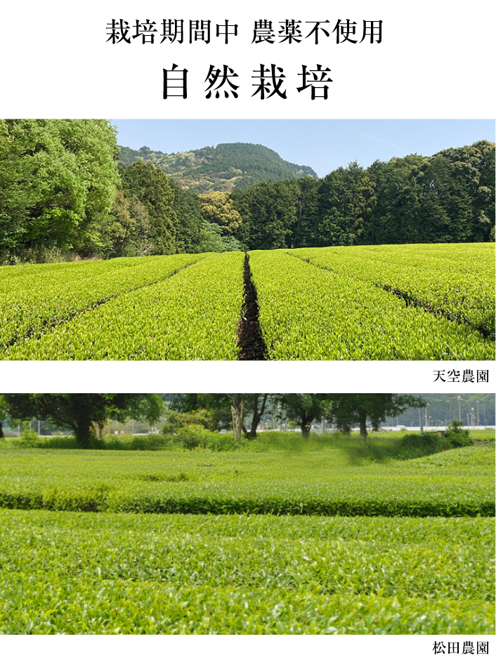 自然栽培