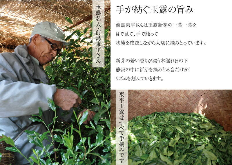 東平玉露