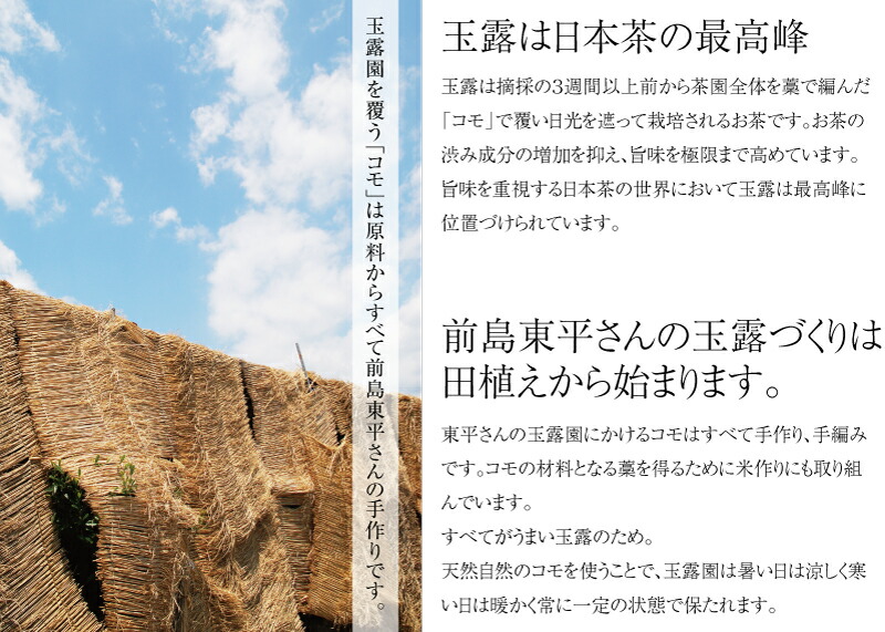 東平玉露