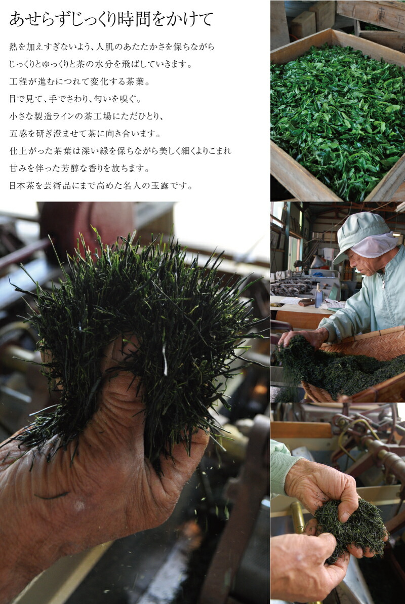 東平玉露