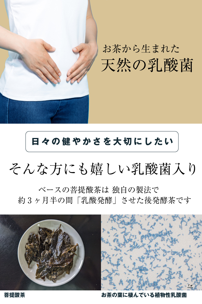 腸活にお茶