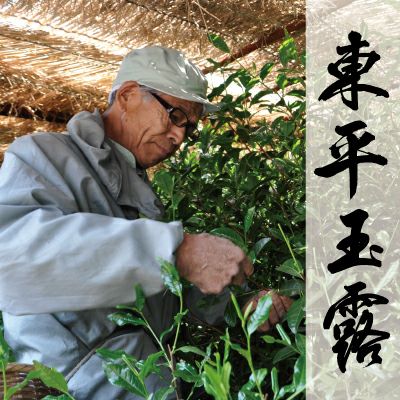 東平玉露